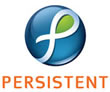 Persistent Systems