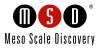 MesoScale Good Logo