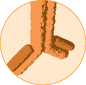 Immunogenicity Risk Assessment and Mitigation