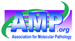 AMP