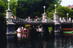 Swan Boats