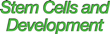 Stem Cells Development