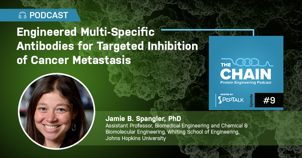 Engineered Multi-Specific Antibodies