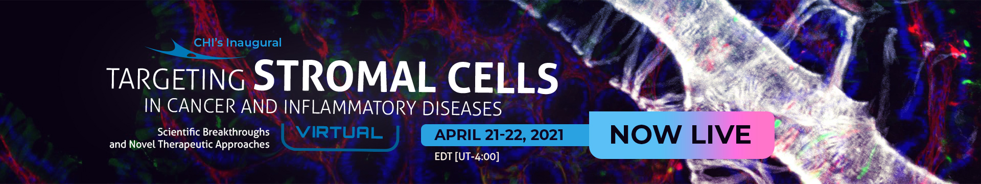 Targeting Stromal Cells in Cancer and Inflammatory Diseases Conference Banner Image