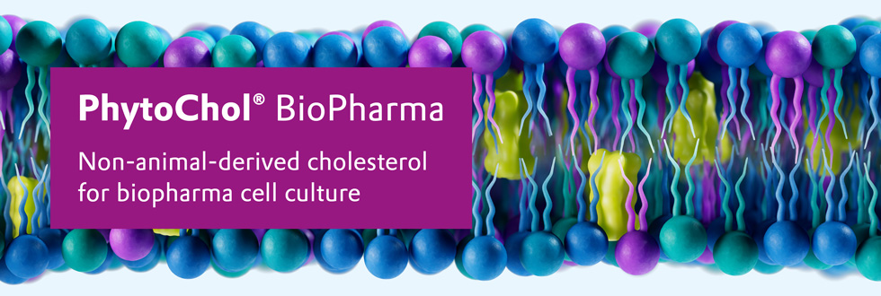 Evonik Banner Image